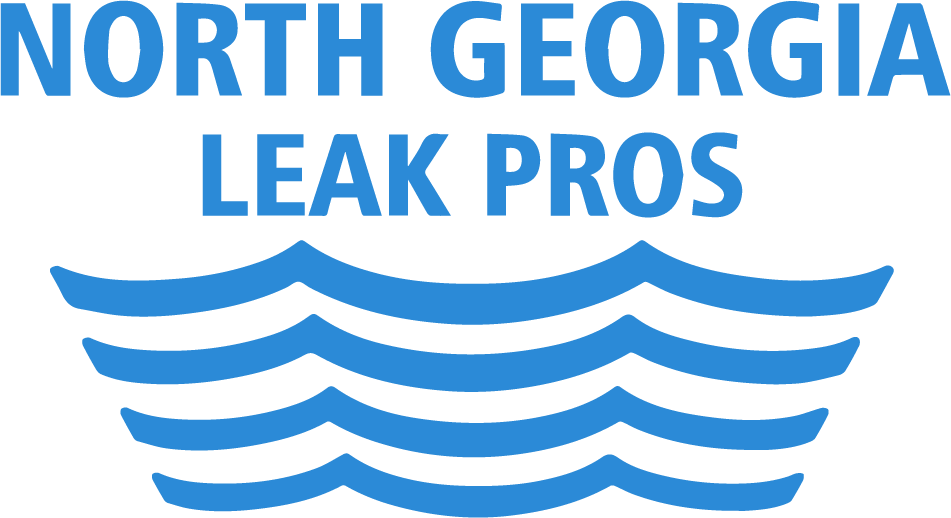 North Georgia Leak Pros